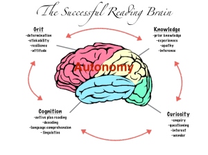 Reading Brain (2)
